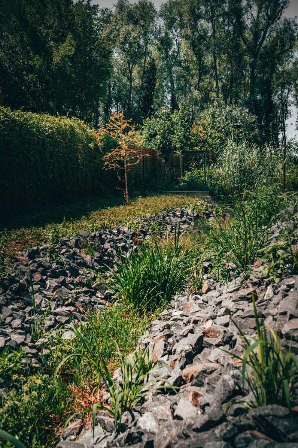 Fuzliget Surf Garden Daire Balatonfůzfő Dış mekan fotoğraf